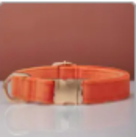 πΎ Velvet Dog Collar & Leash Set β Customizable with Bow Tie