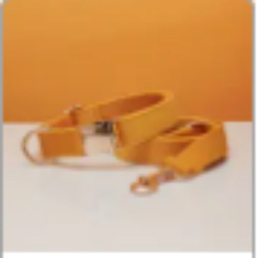 πΎ Velvet Dog Collar & Leash Set β Customizable with Bow Tie