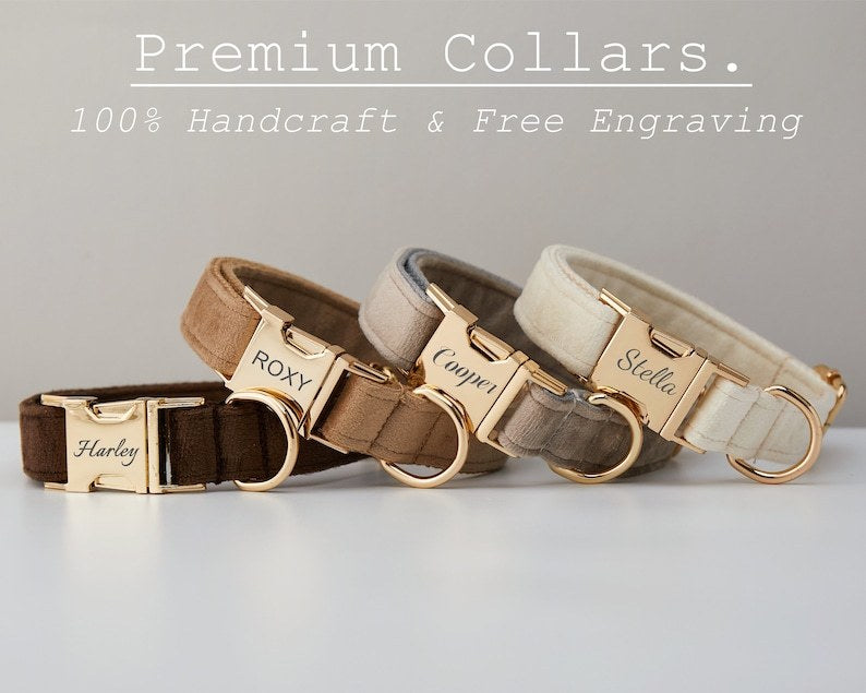 πΎ Velvet Dog Collar & Leash Set β Customizable with Bow Tie