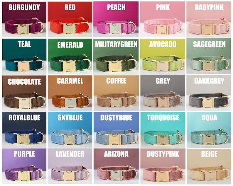 πΎ Velvet Dog Collar & Leash Set β Customizable with Bow Tie