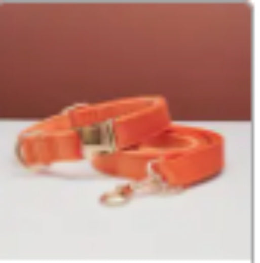 πΎ Velvet Dog Collar & Leash Set β Customizable with Bow Tie