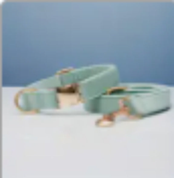 πΎ Velvet Dog Collar & Leash Set β Customizable with Bow Tie