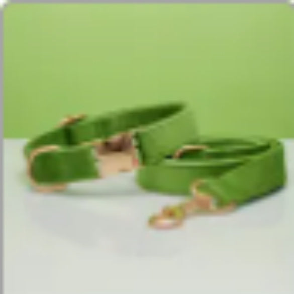 πΎ Velvet Dog Collar & Leash Set β Customizable with Bow Tie