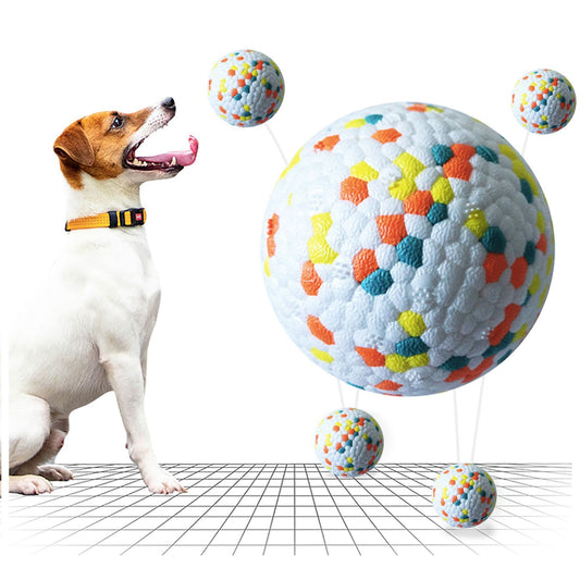 🐶 Interactive Molar Chew Ball – Play, Train & Clean All in One!