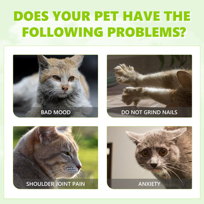 Pet Vitality Spray – All-Natural Wellness Boost for Dogs & Cats