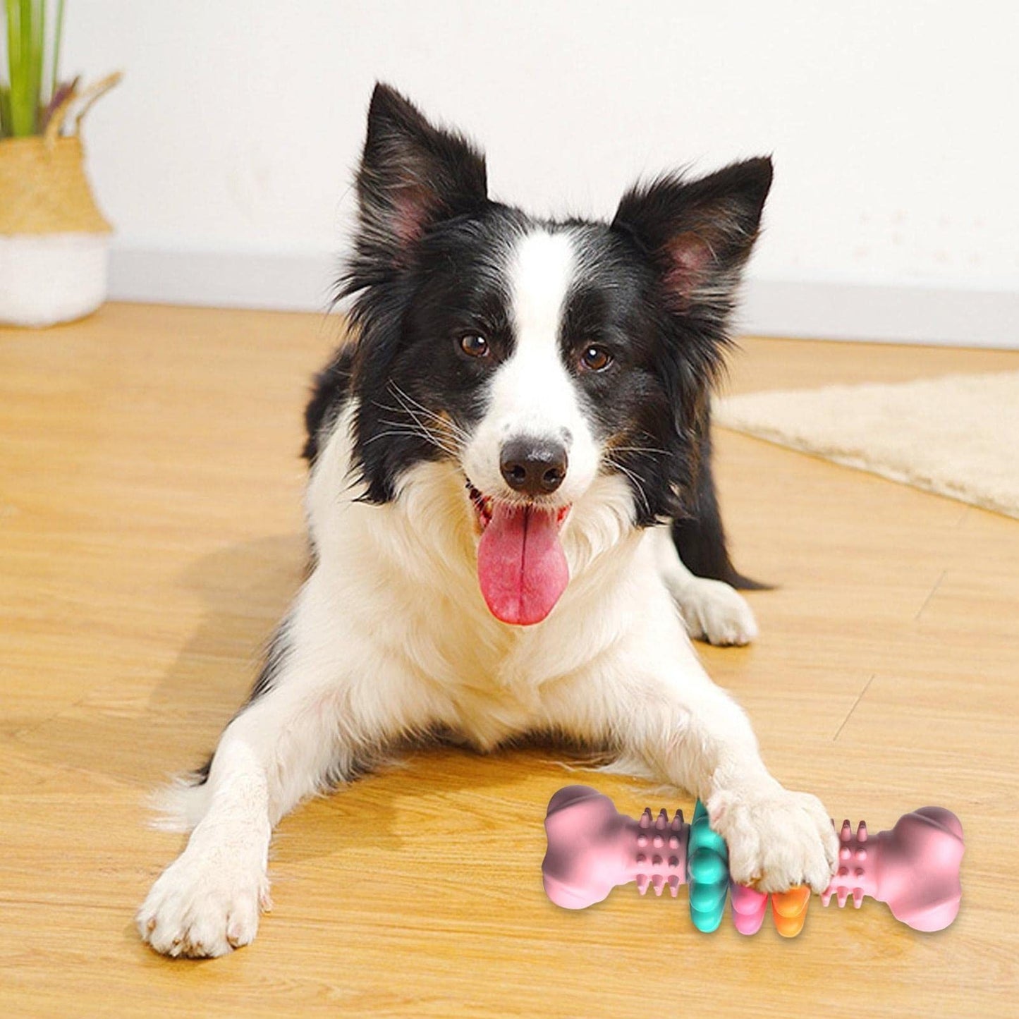 🦴 Indestructible Dog Bone Toy – Built to Chew, Made to Last