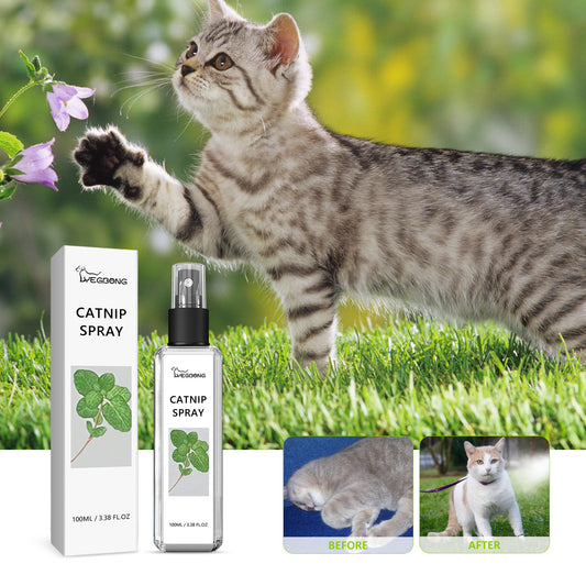 Pet Vitality Spray – All-Natural Wellness Boost for Dogs & Cats