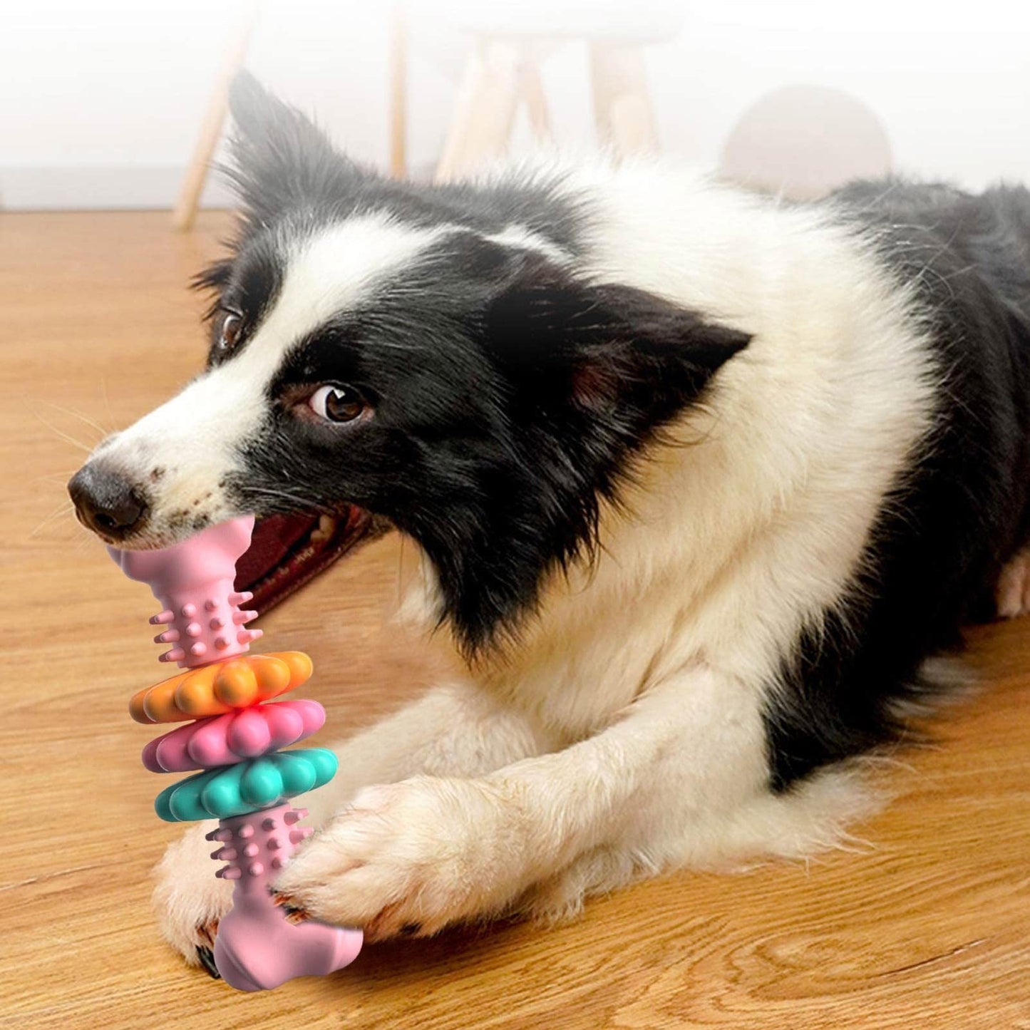 🦴 Indestructible Dog Bone Toy – Built to Chew, Made to Last