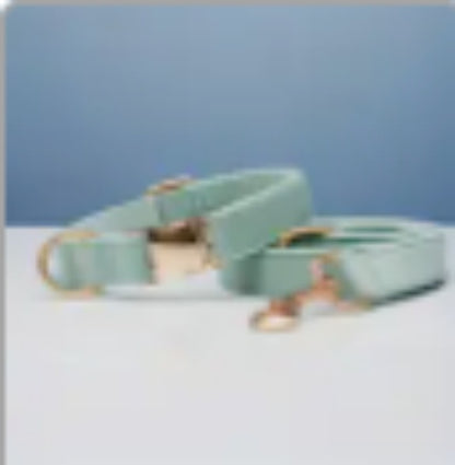 🐾 Velvet Dog Collar & Leash Set – Customizable with Bow Tie